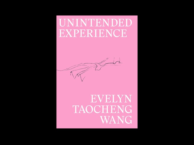 Evelyn Taocheng Wang - Unintended Experience
